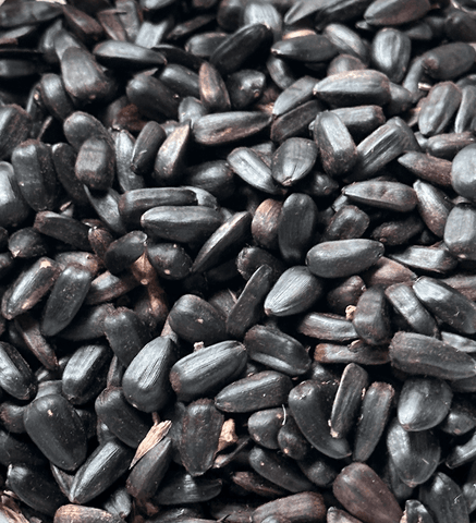 Hopi Black Sunflower Seeds | The Yarn Tree - fiber, yarn and natural dyes