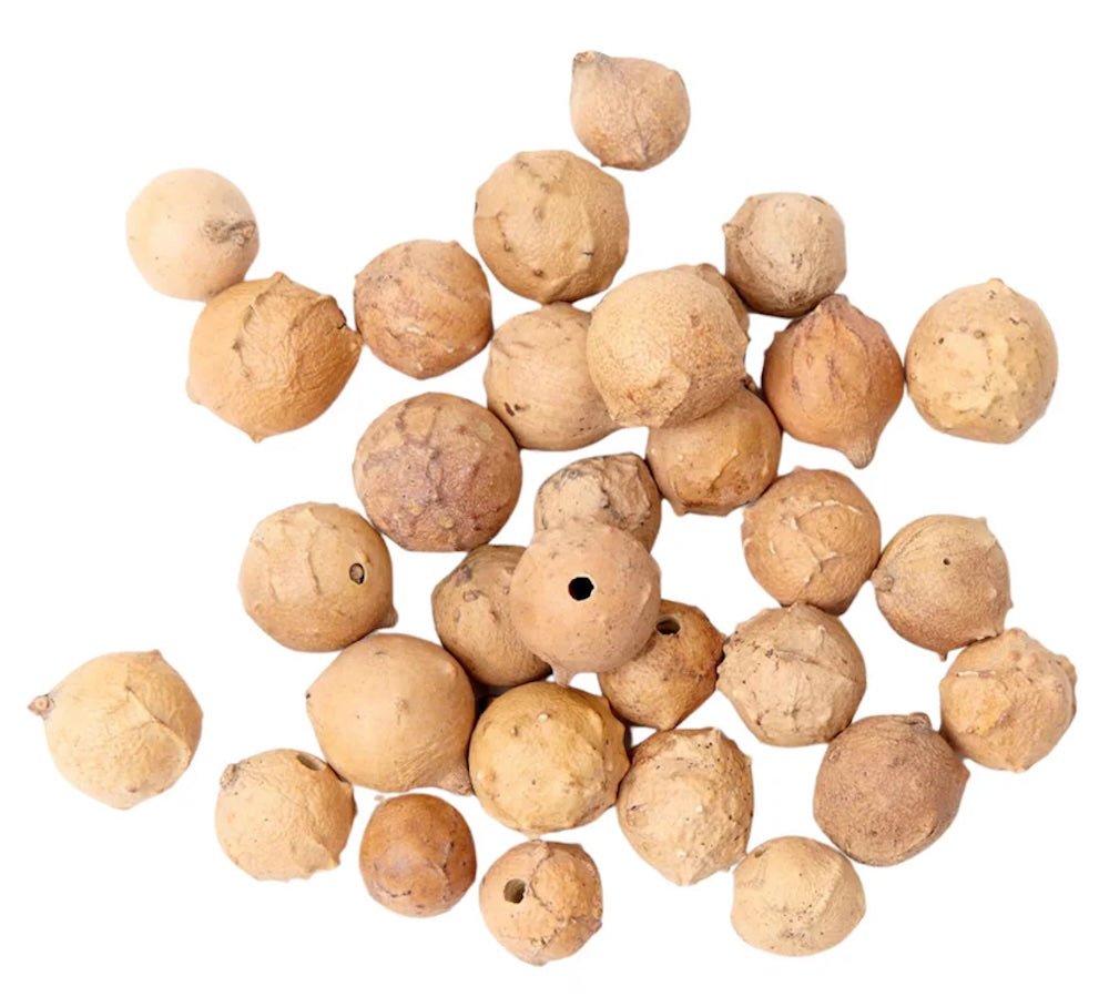 Natural Dyes - Oak Gallnuts, Whole | The Yarn Tree - fiber, yarn and natural dyes