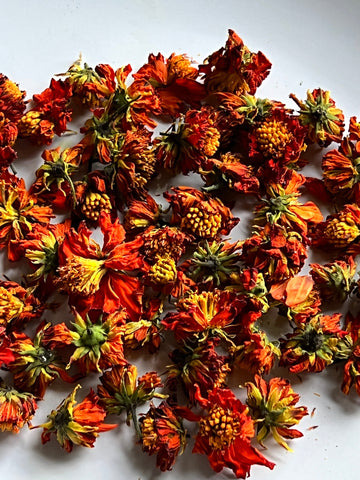 Natural Dyes - Sulfur Cosmos - Dried Flowers