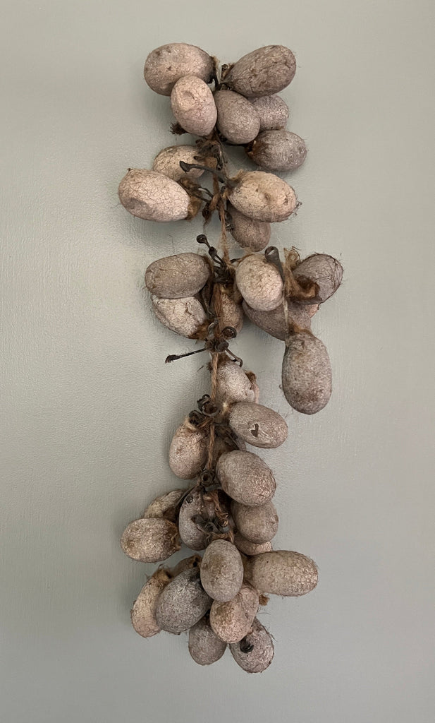 Wild Tussah Silk Cocoons with Peduncle on a string | The Yarn Tree - fiber, yarn and natural dyes
