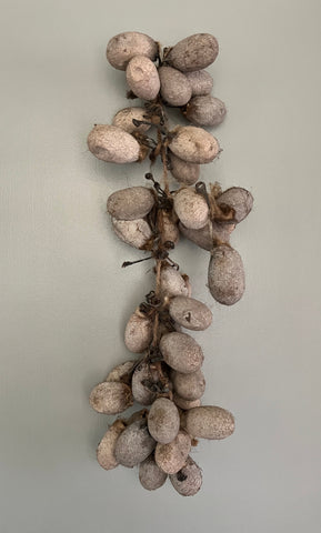Wild Tussah Silk Cocoons with Peduncle on a jute rope