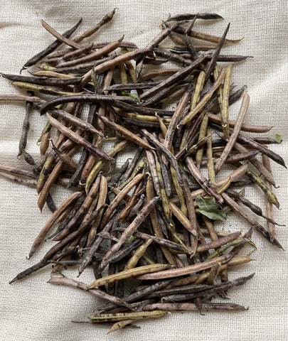 Natural Dyes - Indigofera Suffruticosa Seeds