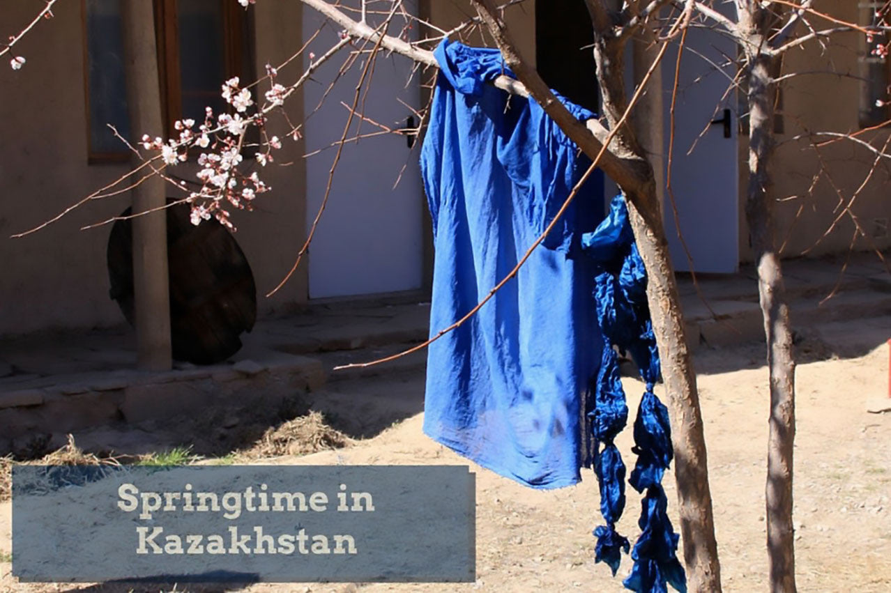 Springtime Shauldar Kazakhstan