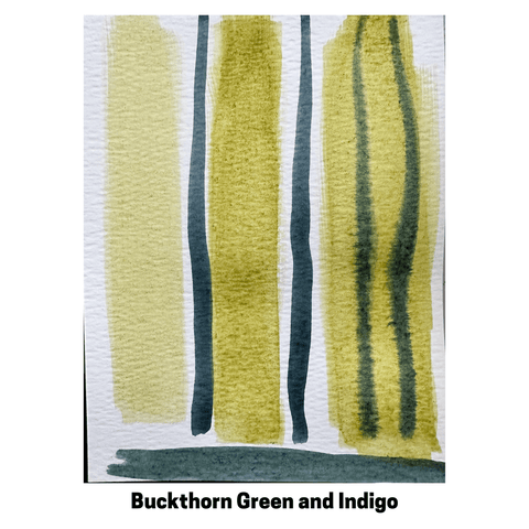 Buckthorn Green Ink | The Yarn Tree - fiber, yarn and natural dyes