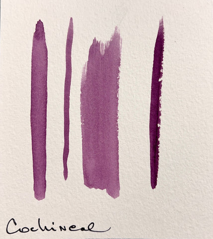 Cochineal Watercolor Paint | The Yarn Tree - fiber, yarn and natural dyes