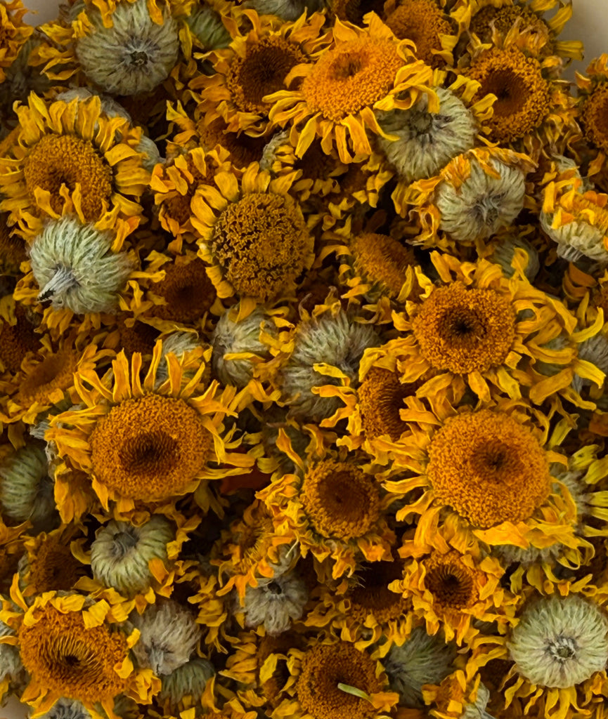 Natural Dyes - Dyer's Chamomile from my garden | The Yarn Tree - fiber, yarn and natural dyes