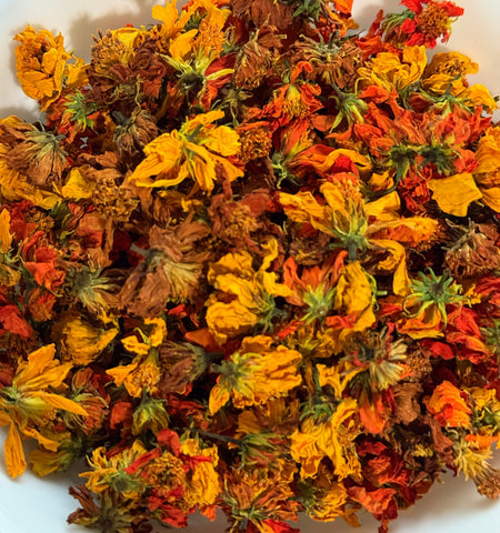 Natural Dyes - Sulfur Cosmos - Dried Flowers