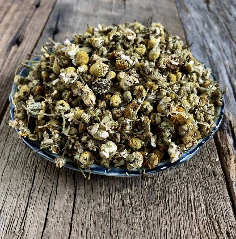 Natural Dyes - Dyers Chamomile