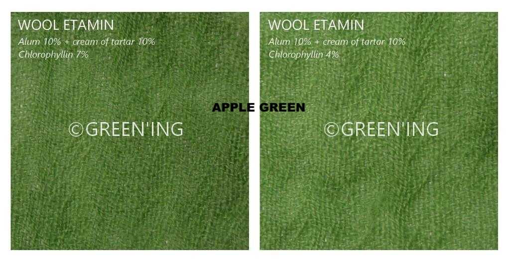 Natural Dyes - Chlorophyllin Extract The Yarn Tree - fiber, yarn