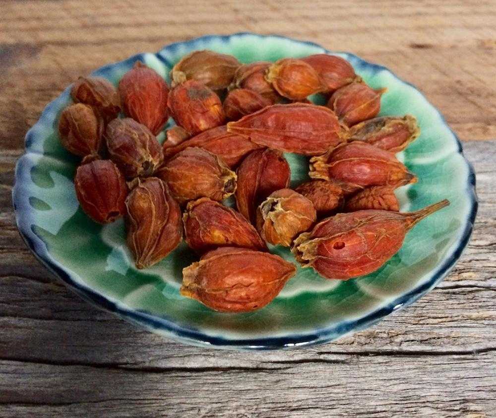 Natural Dyes - Gardenia Fruit - Dried Pods – The Yarn Tree