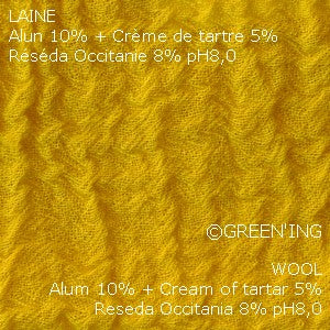 Natural Dyes - Weld Extract from Occitania