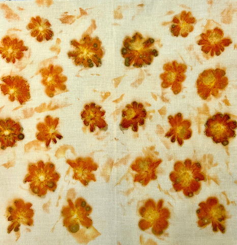 Natural Dyes - Sulfur Cosmos - Pressed Flowers | The Yarn Tree - fiber, yarn and natural dyes